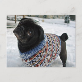 Snowy Sweater Pug Briefkaart