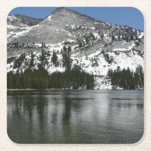 Snowy Tenaya Lake Yosemite National Park Foto Kartonnen Onderzetters