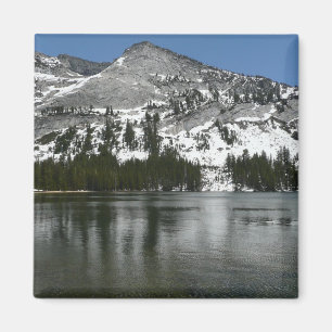 Snowy Tenaya Lake Yosemite National Park Foto Magneet
