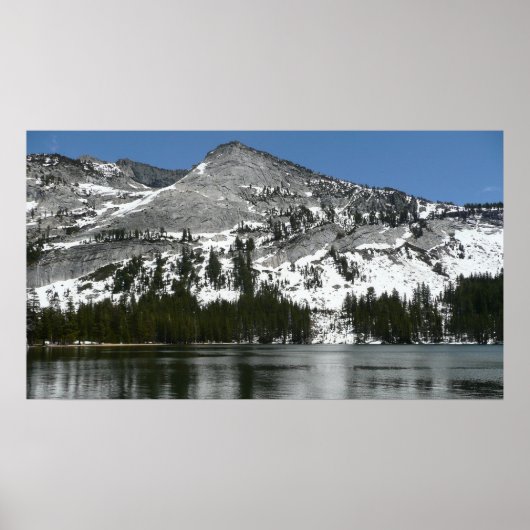 Snowy Tenaya Lake Yosemite National Park Foto Poster (Voorkant)