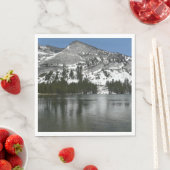 Snowy Tenaya Lake Yosemite National Park Foto Servetten (Insitu)