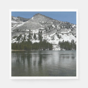 Snowy Tenaya Lake Yosemite National Park Foto Servetten