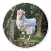 Snowy the Ameraucana hen- left keukenknob pull Keramische Knop (Voorkant)