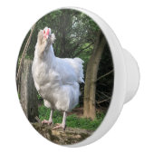 Snowy the Ameraucana hen- left keukenknob pull Keramische Knop (Rechts)