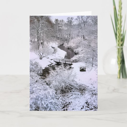 Snowy Town Brook Plymouth MA Kaart (Voorkant)