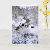 Snowy Town Brook Plymouth MA Kaart (Gele Bloem)