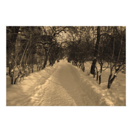Snowy track met bomen in sepia foto afdruk