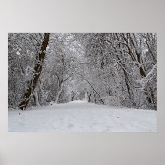Snowy Trail Poster