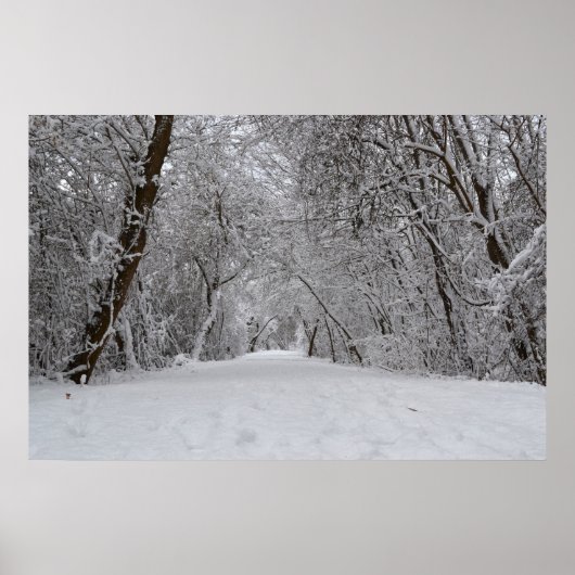 Snowy Trail Poster (Voorkant)