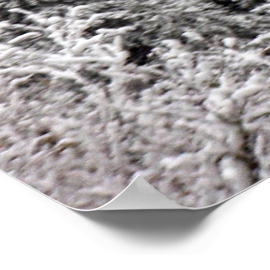 Snowy Tree Poster (Hoek)