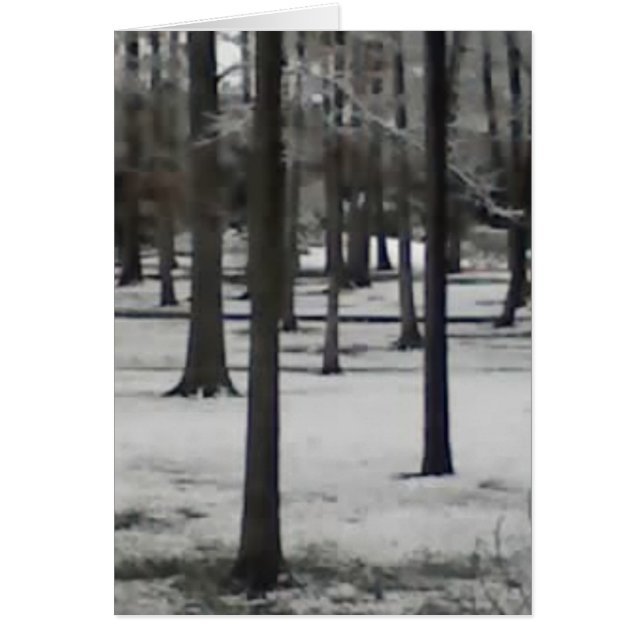 Snowy Trees (Voorkant)