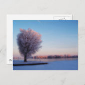 Snowy Trees-Briefkaart Briefkaart (Voorkant / Achterkant)
