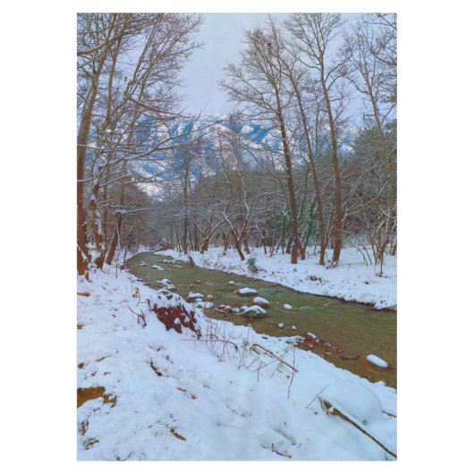 Snowy Trees Creek Forest Mountain Winter Scene Tafelkleed (Voorkant)