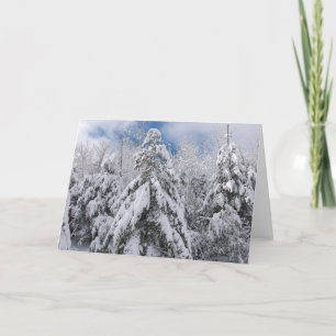 Snowy Trees Feestdagen Kaart