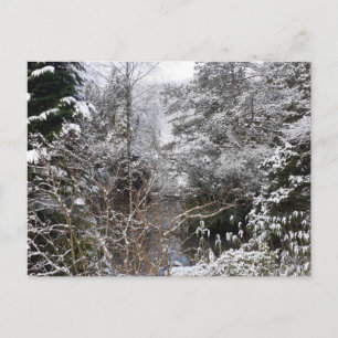 Snowy Trees Flat Briefkaart