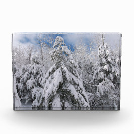 Snowy Trees Fotoblokken