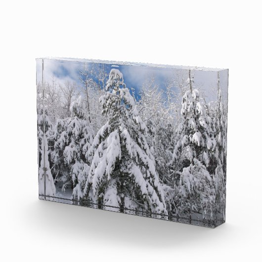 Snowy Trees Fotoblokken (Rechts)