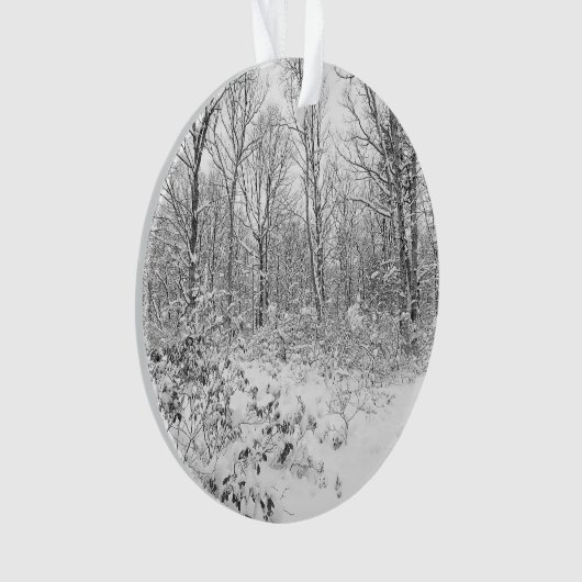 Snowy Trees in de Poconos Ornament (voorkant)