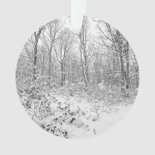 Snowy Trees in de Poconos Ornament (voorkant)