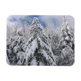 Snowy Trees Magneet