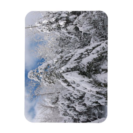 Snowy Trees Magneet (Verticaal)