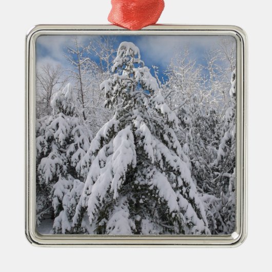 Snowy Trees Metalen Ornament (Voorkant)