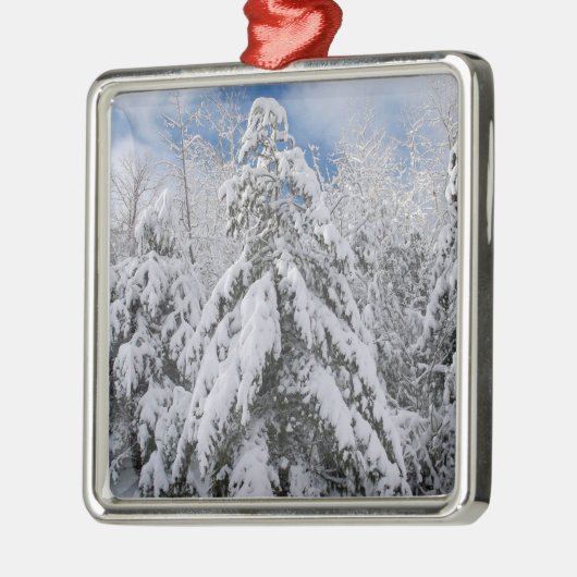 Snowy Trees Metalen Ornament (Links)