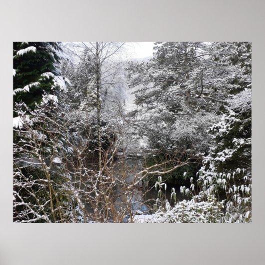 Snowy Trees Poster (Voorkant)