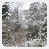 Snowy Trees Vierkante Sticker (Voorkant)