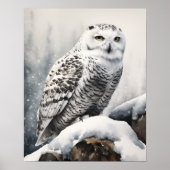 Snowy Uil Bird Art Print Poster (Voorkant)