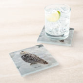 Snowy Uil glas onderzetter (Schuin)