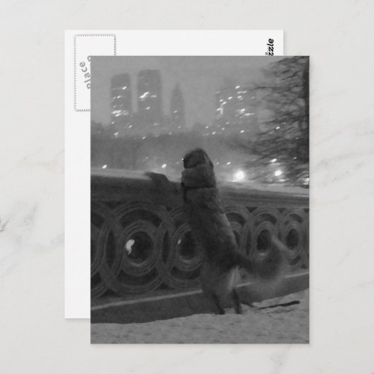 Snowy Uitzicht van het Briefkaart van Brugbrug-Cen (Voorkant / Achterkant)