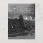 Snowy Uitzicht van het Briefkaart van Brugbrug-Cen (Voorkant)