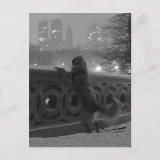 Snowy Uitzicht van het Briefkaart van Brugbrug-Cen (Voorkant)