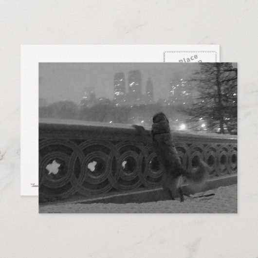 Snowy-Uitzicht vanaf Bow Bridge Briefkaart (Voorkant / Achterkant)