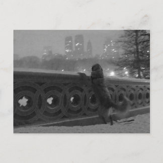 Snowy-Uitzicht vanaf Bow Bridge Briefkaart