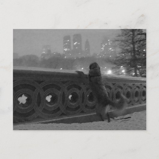 Snowy-Uitzicht vanaf Bow Bridge Briefkaart (Voorkant)