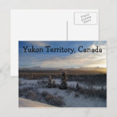 Snowy vanmiddag; Yukon Territory, Canada Briefkaart (Voorkant / Achterkant)