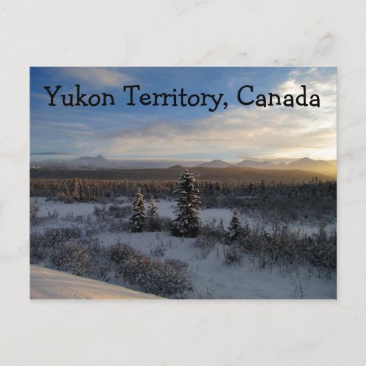 Snowy vanmiddag; Yukon Territory, Canada Briefkaart (Voorkant)