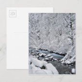 Snowy white creek schilderachtig, Oregon Briefkaart (Voorkant / Achterkant)