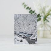 Snowy white creek schilderachtig, Oregon Briefkaart (Staand voorkant)