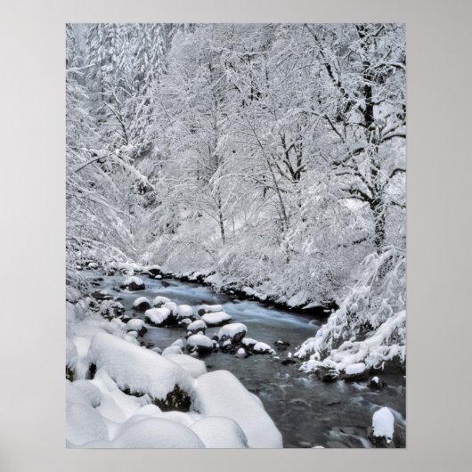 Snowy white creek schilderachtig, Oregon Poster (Voorkant)