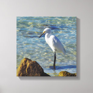 Snowy White Egret in Surf Canvas Afdruk