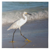 Snowy White Egret Tegeltje (Voorkant)