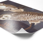 Snowy White Owl at Night Audubon  Art Foto Afdruk (Hoek)