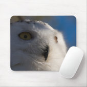 Snowy White Owl Muismat (Met muis)
