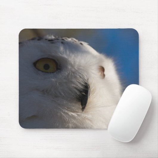 Snowy White Owl Muismat (Met muis)