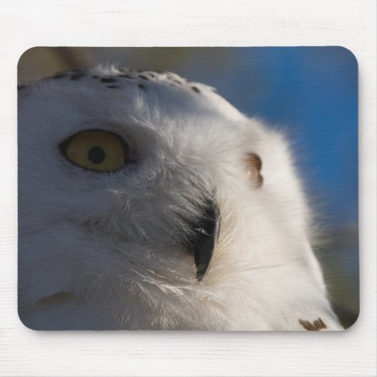 Snowy White Owl Muismat (Voorkant)