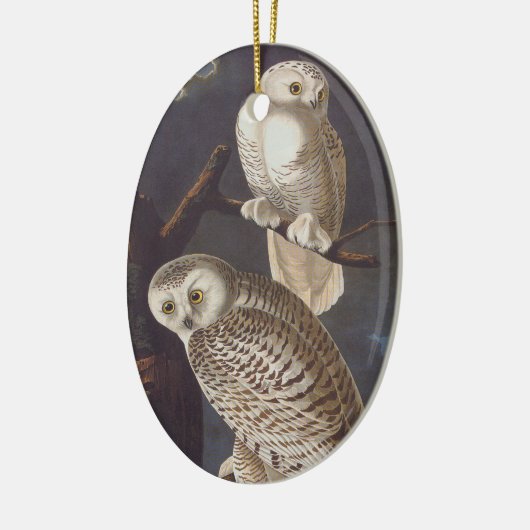 Snowy White Owl Oval Christmas Ornament (Links)