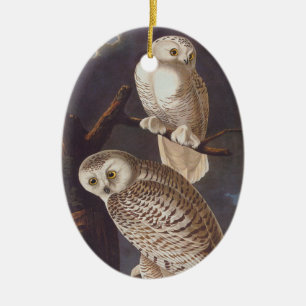 Snowy White Owl Oval Christmas Ornament